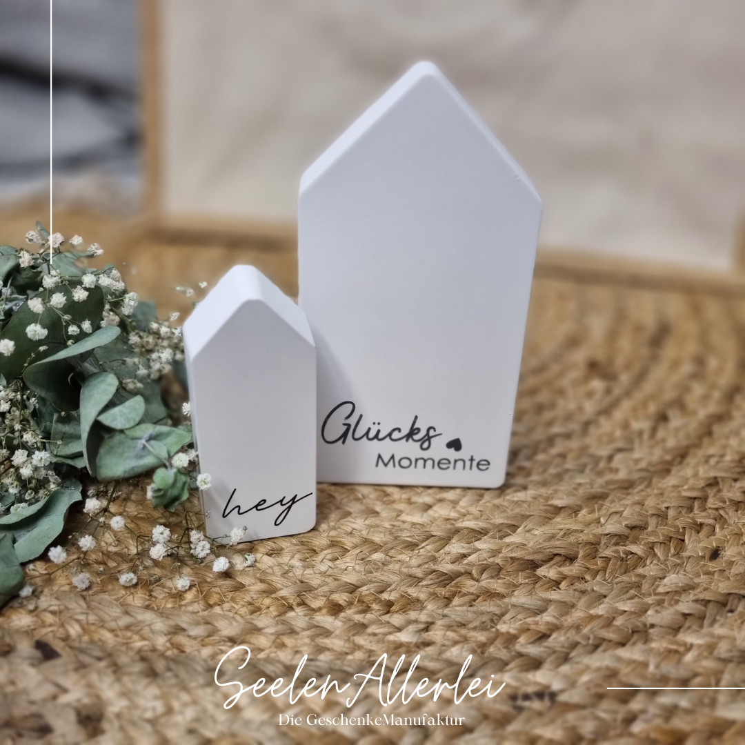 HAUS aus HOLZ oder RAYSIN mini