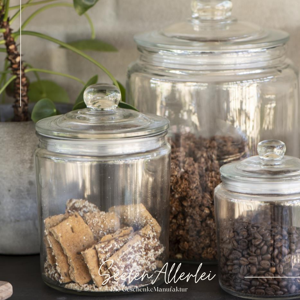 drei verschieden Große Glasboxen mit schönem Glasdeckel stehen gefüllt mit Kaffee, Keksen und Müsli auf einem Regal neben einer Blume+