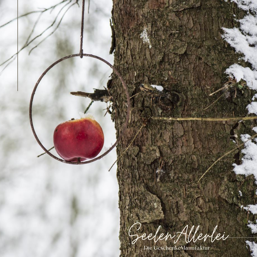 Vogelfutterspieß aus Metall mit Spieß, auf dem ein Apfel steckt hängt in einem Baum im Winter.