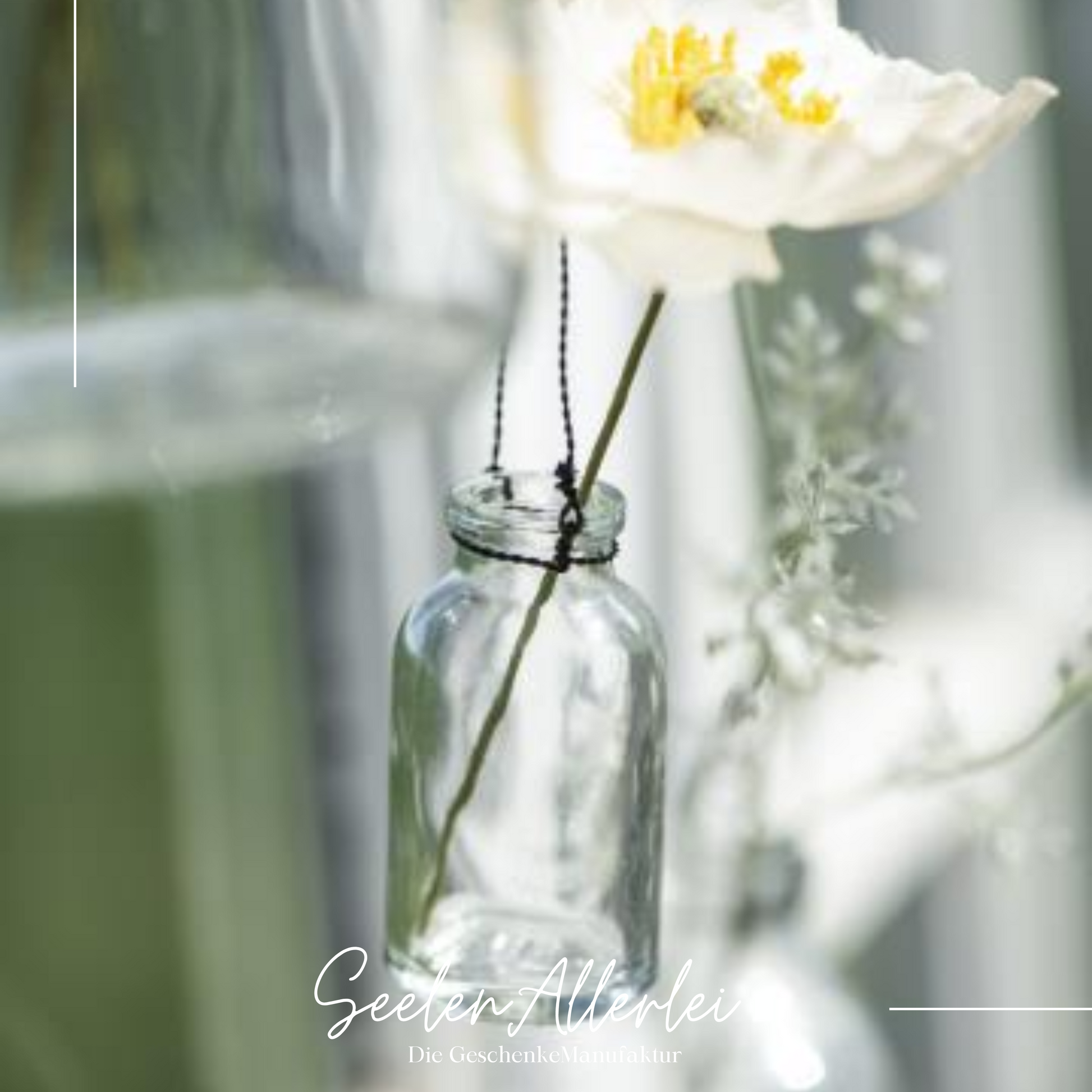 Glasflasche mit einer weißen Anemone-Blüte hängt im Fenster